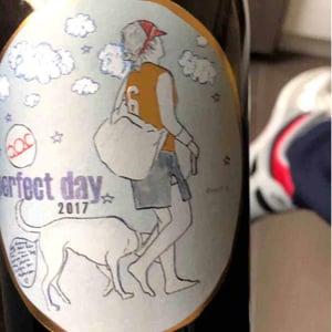 Weingut Pittnauer - Gerhard & Brigitte Pittnauer - Perfect Day