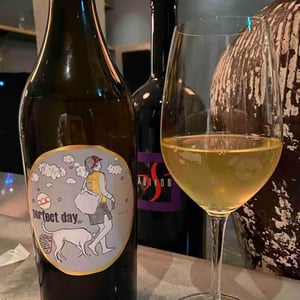 Weingut Pittnauer - Gerhard & Brigitte Pittnauer - Perfect Day