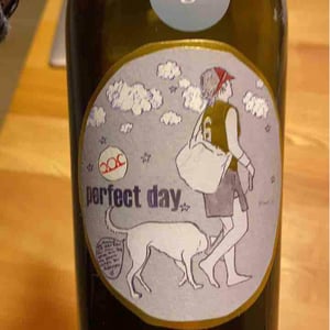 Weingut Pittnauer - Gerhard & Brigitte Pittnauer - Perfect Day