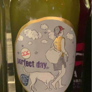 Perfect Day - Weingut Pittnauer - gerhard-brigitte-pittnauer