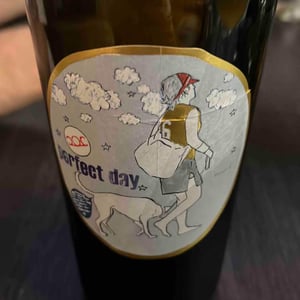 Weingut Pittnauer - Gerhard & Brigitte Pittnauer - Perfect Day