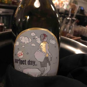 Weingut Pittnauer - Gerhard & Brigitte Pittnauer - Perfect Day