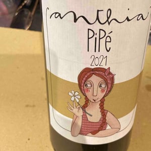 Pipé - Terrazze Singhie - Sara Polo & Mauro Migliavacca -2021