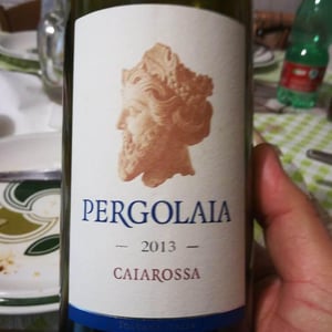 Pergolaia - Pisa - caiarossa