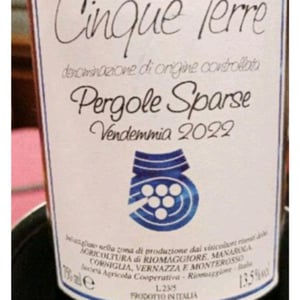 Pergole sparse - Cantina Cinque Terre - societa-agricola-cooperativa-riomaggiore -2022