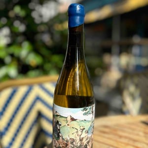 Perill Blanc - Clos Lentiscus - manel-avino