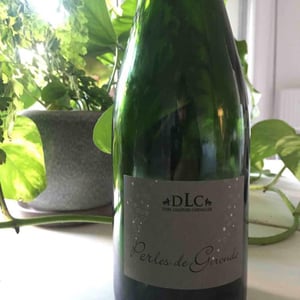 Perles de Gironde - Domaine Léandre-Chevalier - DLC - L'Homme-Cheval - dominique-leandre-chevalier-reto-erdin
