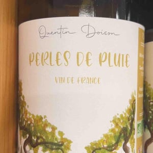 Perles de pluie - Quentin doison - quentin-doison -2022