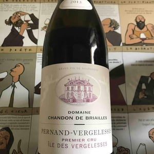 Pernand-Vergelesses 1er Cru "Ile des Vergelesses" - Domaine Chandon de Briailles - Claude & François de Nicolay 