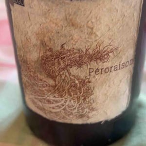 Péroraison (PROLEGO) - Domaine Riberach - guilhem-soulignac-j-m-mailloles-patrick-rodrigues-luc-richard