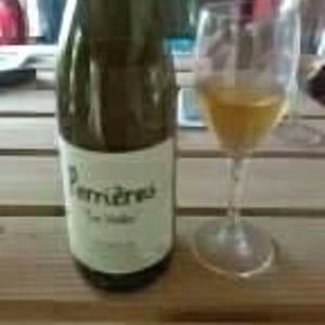 Domaine Sauveterre - Ghislaine & Jerôme Guichard - Perrières "Les Vieilles "