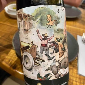 Perrill Noir Carinyena - Clos Lentiscus - Manel Aviñó 