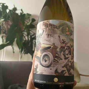 Clos Lentiscus - Manel Aviñó - Perrill Noir Carinyena