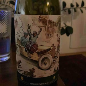 Clos Lentiscus - Manel Aviñó - Perrill Noir Carinyena