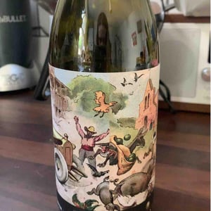 Perrill Noir Carinyena - Clos Lentiscus - Manel Aviñó 