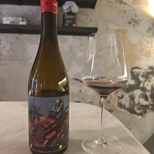 Perrill Noir Sumoll - Clos Lentiscus - manel-avino -2014