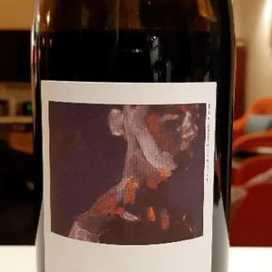 Domaine de l'Astré - Aude Duval et Sylvain Ohayon - Pèlroge