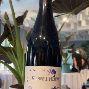 Persan - Vignoble Pellerin - jean-christophe-baptiste-lucien-pellerin -2022