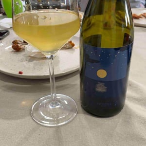 Perspektive Weiss - Weingut Koppitsch - maria-alex-koppitsch
