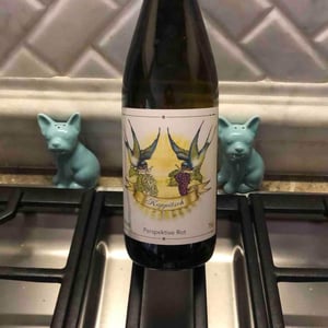 Perspektive Rot - Weingut Koppitsch - Maria & Alex Koppitsch 
