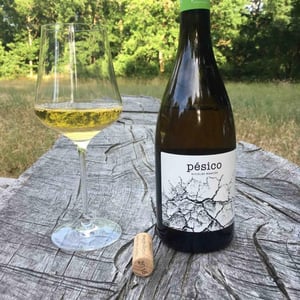 Pésico Blanco - Dominio del Urogallo - Nicolás Marcos 