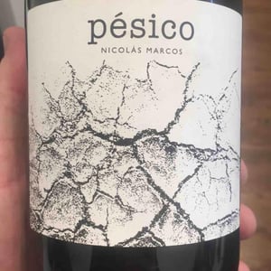 Pésico Tinto - Dominio del Urogallo - nicolas-marcos