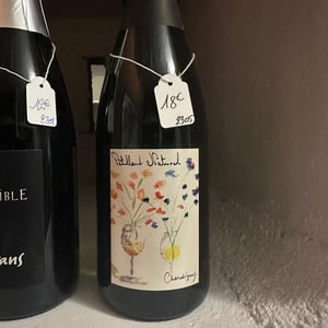 Pet Nat - Domaine Chardigny - Victor-Emmanuel & Pierre-Maxime Chardigny -2021