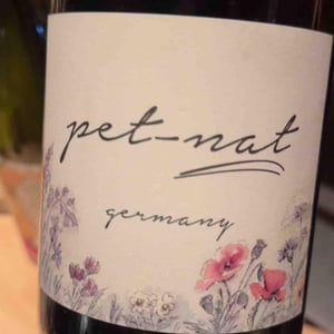 Pet Nat - Brand Bros - Weingut Brand - Daniel & Jonas Brand 