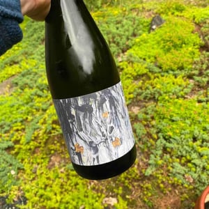 Pét-Nat Canvas - Gönc Winery / Grape Adbuction - Peter Gönc 