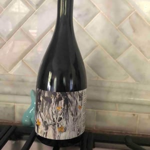 Pét-Nat Canvas - Gönc Winery / Grape Adbuction - Peter Gönc 
