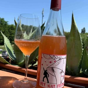 Pet Nat Fever - ClosForano - Azienda Agricola S. Francesco S.S. Di Bocchini U. & C. - carlotta-christophe-fustinoni