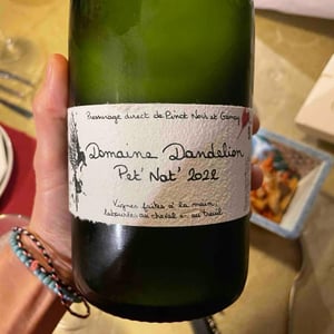 Pet nat - Domaine Dandelion - Morgane Seuillot & Christian Knott -2022