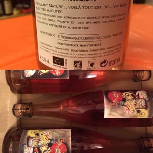 Pet’ Nat Fouassier - Domaine Fouassier - benoit-paul-fouassier