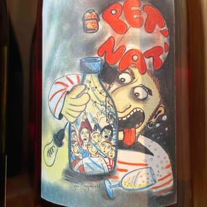 Pet’ Nat Fouassier - Domaine Fouassier - benoit-paul-fouassier