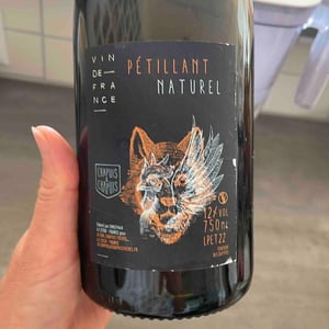 Pétillant Naturel Blanc - Chapuis & Chapuis - romain-jean-guillaume-chapuis -2022