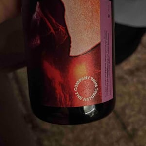 Pet-Nat - The Natural Wine Company - Lammidia - Marco Giuliani & Davide Gentile -2021