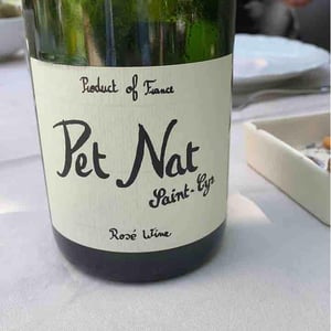 Pet Nat Rosé - Domaine Saint-Cyr - Raphaël Saint-Cyr 