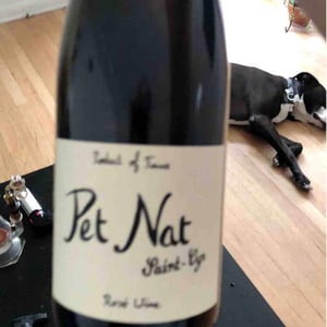 Pet Nat Rosé - Domaine Saint-Cyr - raphael-saint-cyr