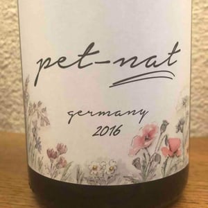 Brand Bros - Weingut Brand - Daniel & Jonas Brand - Pet Nat