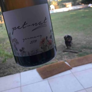 Pet Nat - Brand Bros - Weingut Brand - daniel-jonas-brand
