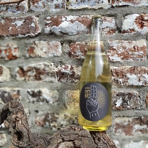 Pet Nat Riesling - Weingut Prana - Cosima Lindenau & Niklas Eisenacher 