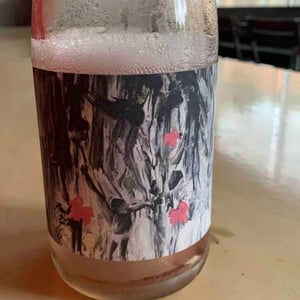 Pét-Nat Rosé Canvas - Gönc Winery / Grape Adbuction - peter-gonc