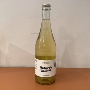 Pét Nat Weiss 2020 - Weingut Hannes Bergdoll - hannes-bergdoll -2020
