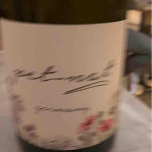Pet Nat - Brand Bros - Weingut Brand - Daniel & Jonas Brand 