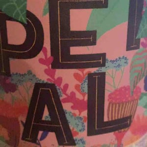 Petal - Domaine des Sonnettes - Sonshine Vins - edouard-gouyette-lisanne-van-son