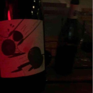 Domaine du Petit Oratoire - Lori Haon - Pétanque: T'as Poussé Le Bouchon Trop Loin !