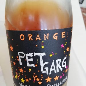 Petgarg Orange - Valentina Passalacqua - valentina-passalacqua