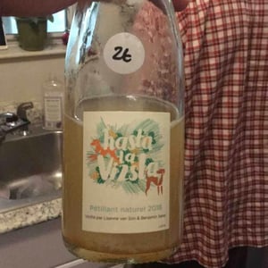 Petillant Naturel - Vin de France - son-benjamin-serer