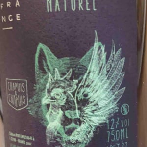 Pétillant Naturel Blanc - Chapuis & Chapuis - Romain & Jean-Guillaume Chapuis -2022