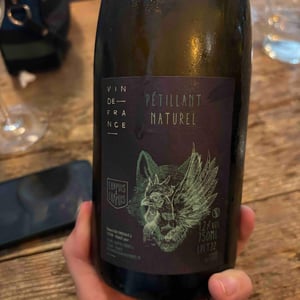 Pétillant Naturel Blanc - Chapuis & Chapuis - Romain & Jean-Guillaume Chapuis -2022